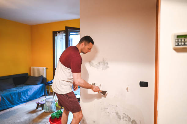 Best DIY Mold Remediation Support Services in St Joseph, MN